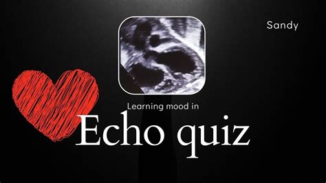 Echo Quiz Congenital Heart Defect YouTube