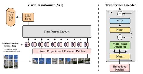 Vision Transformers (ViT) in Image Recognition: Full Guide - viso.ai