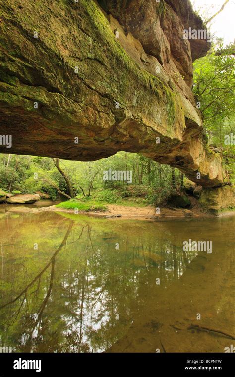 Rock Bridge Red River Gorge Geological Area Slade Kentucky Stock Photo