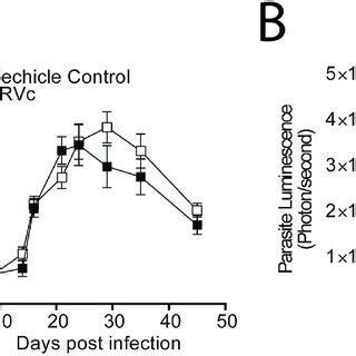 Immunisation With Lrv C Alone Did Not Induce Protection Mice Were