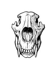 Bear Skull Vector Images (over 1,000)