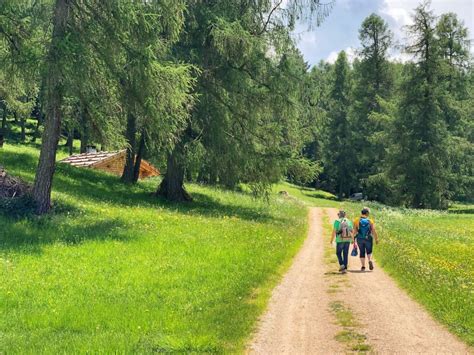 Passeggiate In Piano Da Fare In Val Di Non Trentino