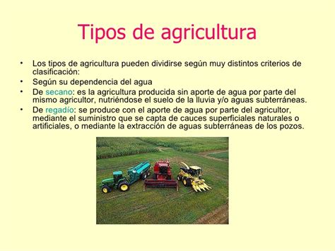 Descubre los 5 tipos de agricultura más importantes