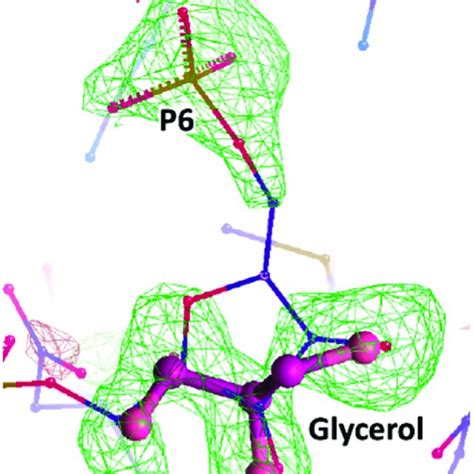 Omit Electron Density Map Of The Refined Structure Of Ftfbpaseii Chain