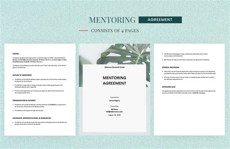 Mentoring Action Plan Templates Pdf Word