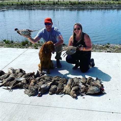 Great Shoot today at P4! #pheasanthunting #rooster - Central Florida ...