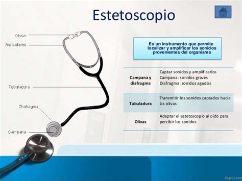 Partes del estetoscopio o fonendoscopio y su función Fonendoscopio