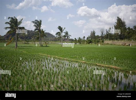 Nagercoil hi-res stock photography and images - Alamy