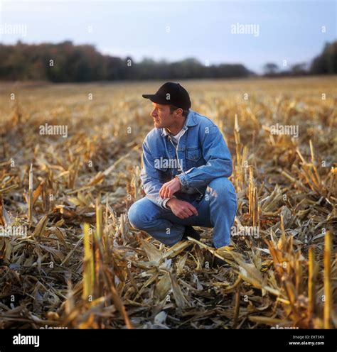 A Farmer Squatting In Stubble Looks Across His Freshly Harvested Grain