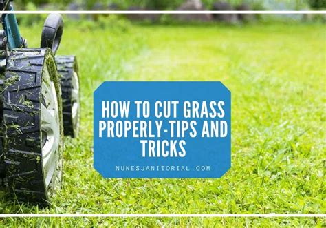 How To Cut Grass Properly Grass Cuttingnunes Janitorial