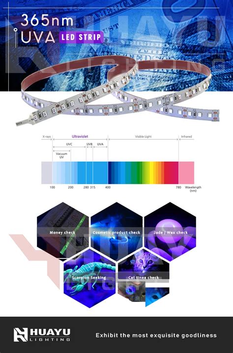 Uv Black Light Led Strip Uv Led 365 Nm 600smd 2835 5050 5630 Led Light