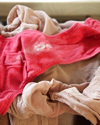 Bbw Panties Porn Pics PICTOA