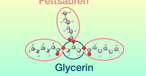 Sodium Coco Sulfate | SKINCI