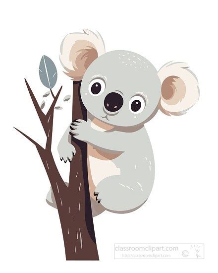 Koala Clipart Koala Adorable Cuddly Marsupial Hangs From Tree Clip Art