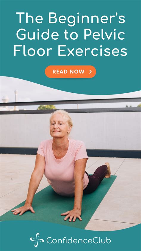 Pelvic Floor Exercises For Beginners Artofit