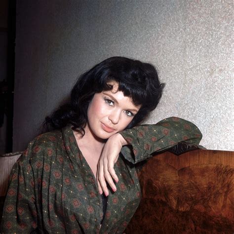 Jayne Mansfield photo 44 of 137 pics, wallpaper - photo #343611 - ThePlace2
