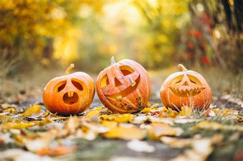 Scopri le incredibili varietà di zucche nel mondo non solo per Halloween