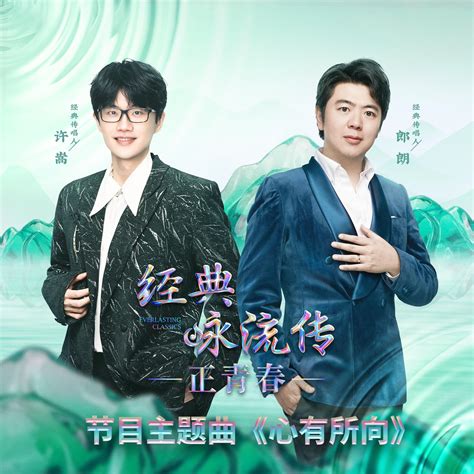 心有所向（《经典咏流传·正青春》主题曲） 许嵩（vae） 专辑 网易云音乐