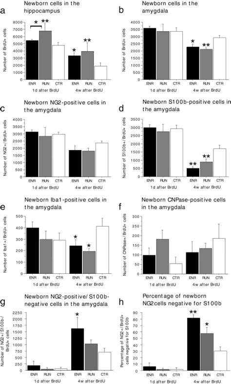 Regulation of cell proliferation and differentiation in the adult ...