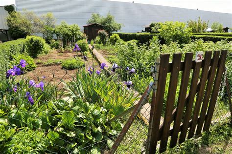 Photos L Engouement Pour Les Jardins Familiaux De La Ville De Vesoul