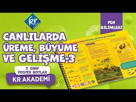 7 Sınıf Fen Bilimleri Canlılarda Üreme Büyüme ve Gelişme 3