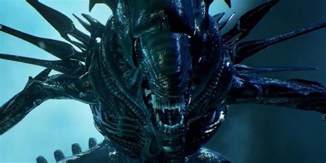 Ridley Scott Gives Unlikely Reaction To New Alien Movie By Fede Álvarez