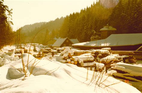 Geschichte Braun Holzwerk