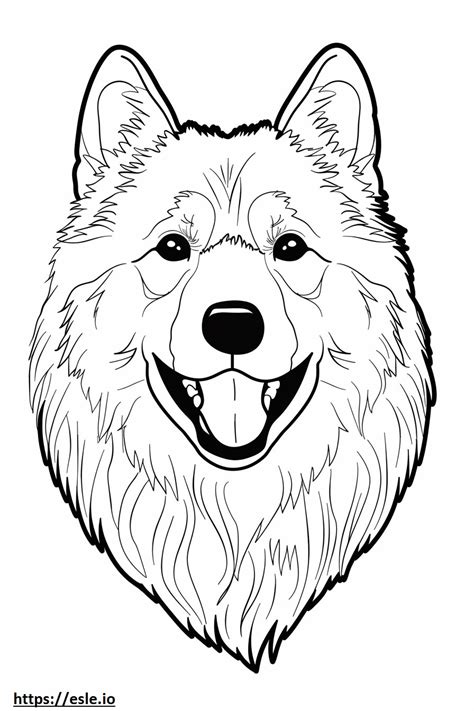 Alaskan Malamute Face Coloring Page