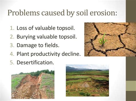 Soil Erosion And Conservation