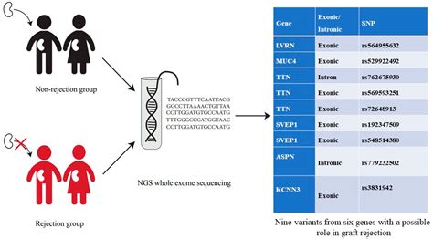 Whole Exome Sequencing To Find Candidate Variants For The Prediction Of