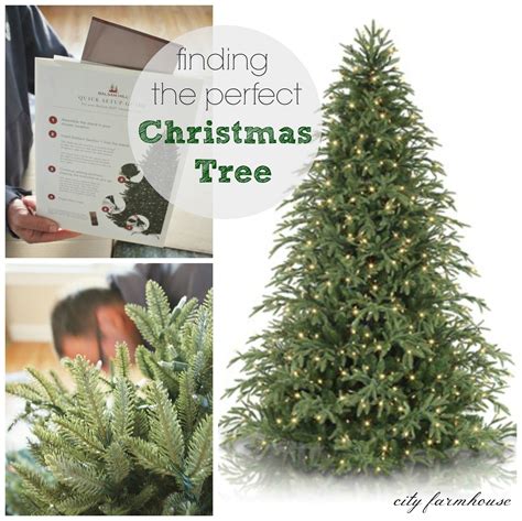 Finding The Perfect Christmas Tree City Farmhouse