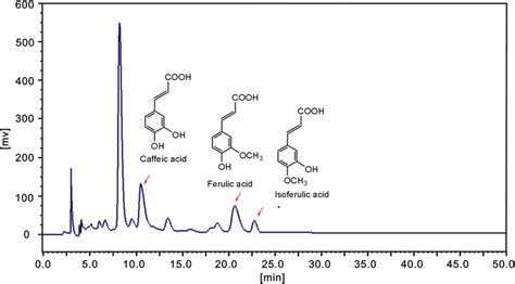 A Typical Hplc Profile Of Earc Ethyl Acetate Extract Of Rhizoma Download Scientific Diagram