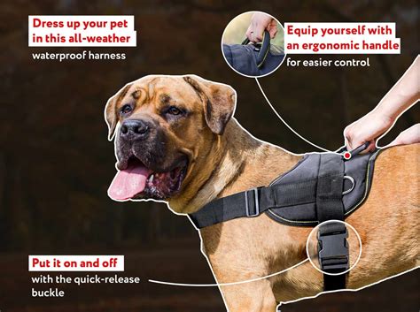 Dog Hiking Harness For Cane Corso Cane Corso Dog Harness Cane Corso