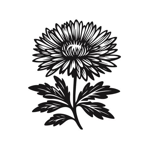 Free Aster Flower Svg Black And White Svg Vector File For Laser