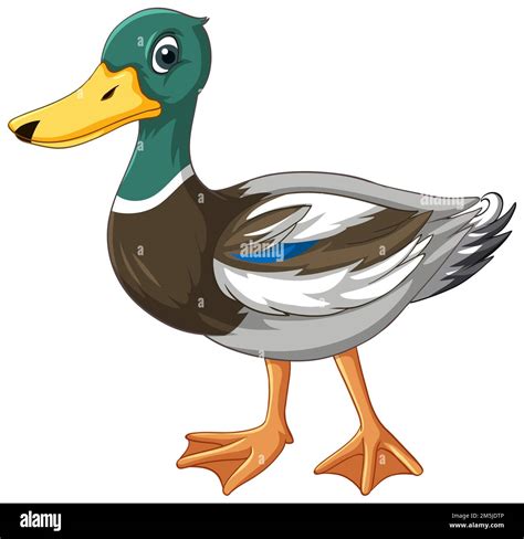 Duck with green head cartoon character illustration Stock Photo - Alamy