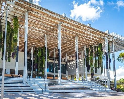 Pérez Art Museum Miami Atualizado 2022 O Que Saber Antes De Ir