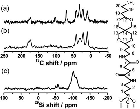 13 C CPMAS NMR Spectra Of The MSN Acetal A And MSNCOOH B 29 Si