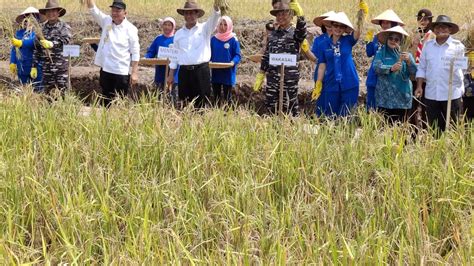 Mentan Andi Amran Kunjungi Lampung TNI AL Sudah Curi Start Program