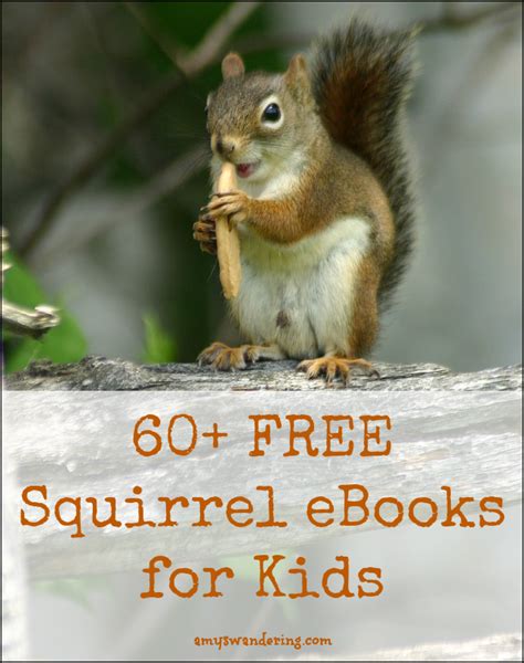 FREE Squirrel eBooks - Amy's Wandering