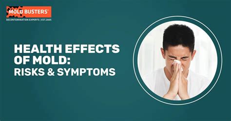 Health Effects Of Mold Dangers Risks And Prevention Tips