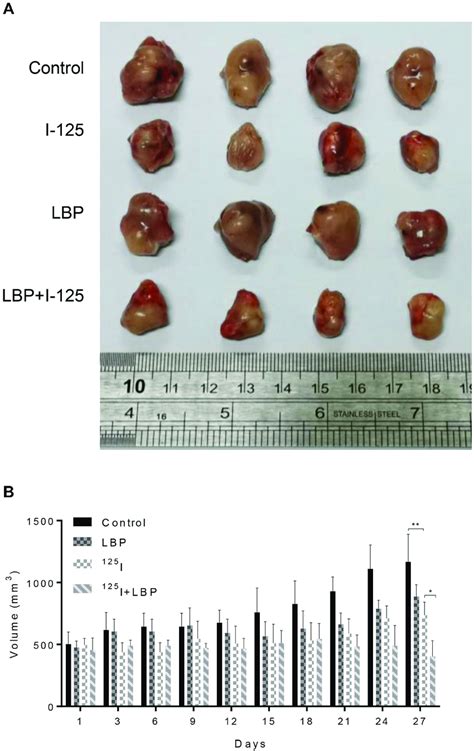 Lbp Facilitated I Induced Tumor Growth Inhibition In Vivo To