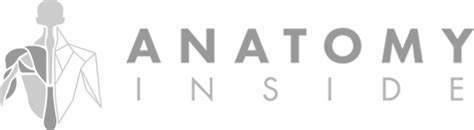 human anatomy courses dissection  prosection courses