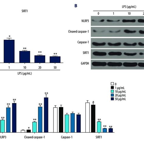 The Expression Of Sirt Nlrp Cleaved Caspase And Caspase At Each