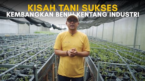 Petani Muda Sukses Kembangkan Benih Kentang Industri Youtube