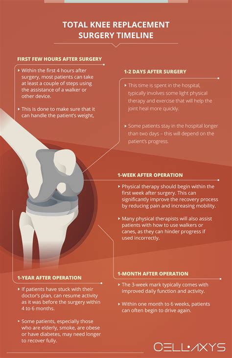 Knee Replacement Recovery Time Cellaxys