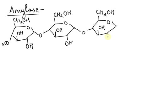 SOLVED Q3 Why does maltose have both Î and Î² forms anomers