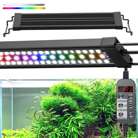 Unlocking The Best Spectrum For Aquarium Plants Top Tips