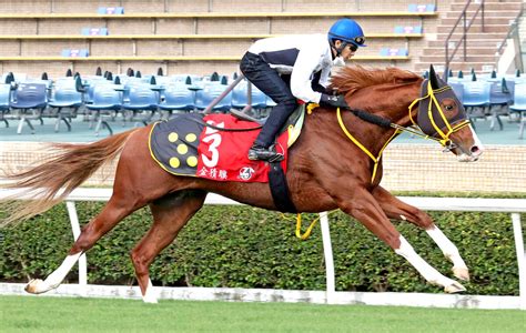 【香港カップ】地元紙が日本の逃げ馬2頭に注目「藤岡調教師の”特別な戦術”が記録的なペースに」 Umatoku 馬トク