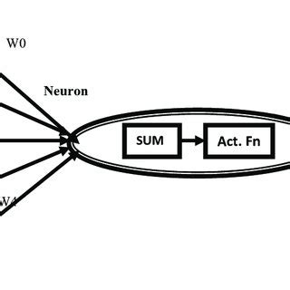 Model of an artificial neuron | Download Scientific Diagram