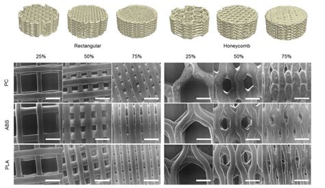 Internal Architectures Of The 3D Porous Structures SEM Revealing Pore